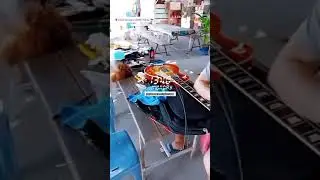 Re Strings LesPaul Lavish Guitar | #SHORTVIDEO