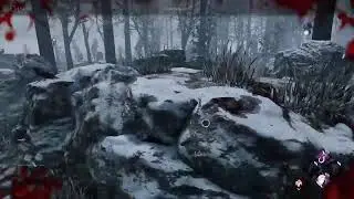 DBD chaos modifier pt6