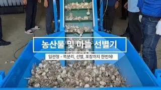 신형 농산물 및 마늘선별기 출시! 마늘쪽분리, 선별, 포장까지 한 번에!