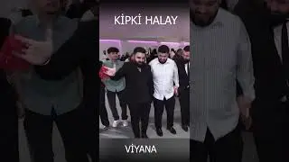 Kipki halay - Diz Kırma #dugun #halay   #shortvideo #öneçıkar