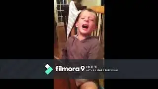 Todd The Spambot Refuses To Do His Homework And Throwing A Fit Like A Baby