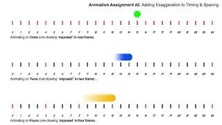 Assignment 2 Exaggeration