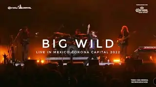 Big Wild LIVE  (Corona Capital 2022) Full