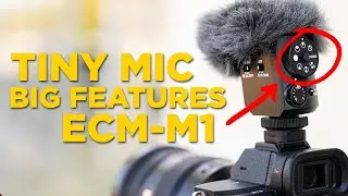 Sony ECM-M1 vs RODE NTG - THIS MIC IS INCREDIBLE!!!
