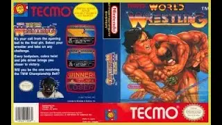 Tecmo World Wrestling/NINTENDO 8 BITS.
