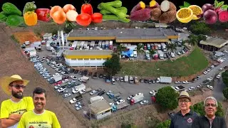 CEASA MINAS CARATINGA