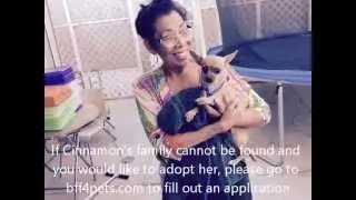 bff4Pets.com Rescue of 