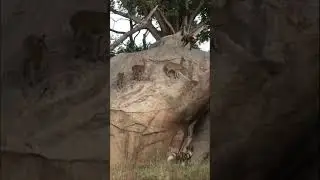 Perfect Position
