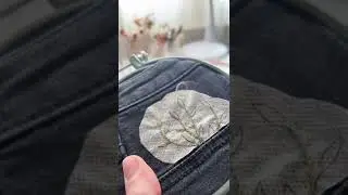 Added some embroidery to my pants