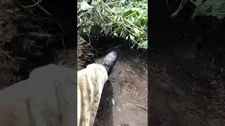 ОТКОПАЛИ КОЛЕСО