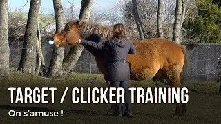 Clicker Training : Target de nez