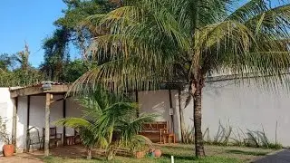 Um trecho do meu aniversário para vocês! | Carla Carolino