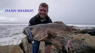 Tackling Up for Mulloway | Fisho App