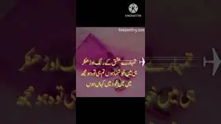 best qawwali Zareen#golden #status (4)