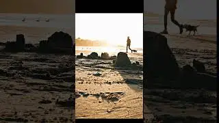 Fotografías en la playa 🏝️