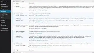 How to uninstall a WordPress plugin.