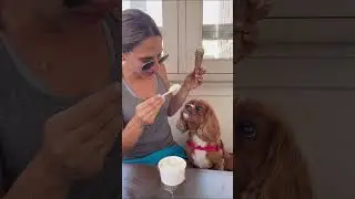 Coco Eating First Italian Gelato