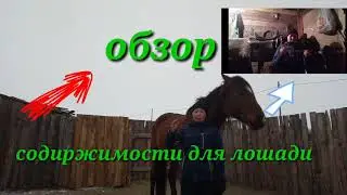 Обзор содержимости для лошадей