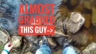 Almost caught a bowfin with my bare hands!!