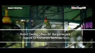 KOMANDO BERKICAU : Love Bird Robot Gedeg ( Bejo BF Banjarnegara ) Nyaris Borong Juara