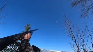 Охота на гуся в ЯНАО весной 2023 г.