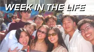 a week in the life #7 | spring 2024
