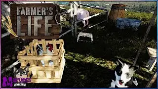 Neue Tiere! | Farmer's Life #20 [ #indie / #keymailer ] 🐷