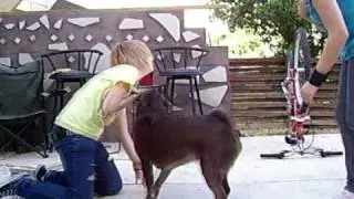 We're Never Going Down ==Read Description