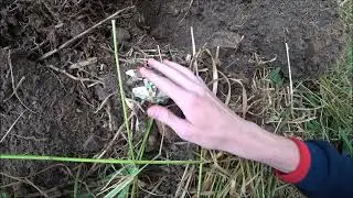 Поиски клада на старом фундаменте