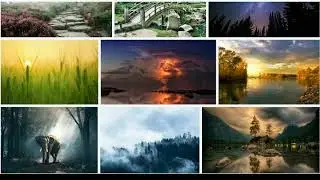 8 Best Websites for Free Stock Photos in 2021 (free for personal and commercial use) ✌