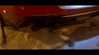 Ford Mustang exhaust sound winter cold start