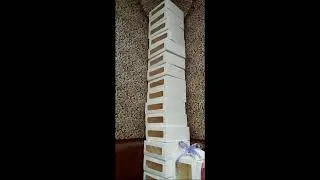 Georgii Revazovich в прямом эфире!