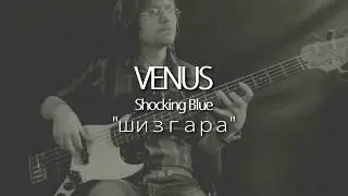 шизгара