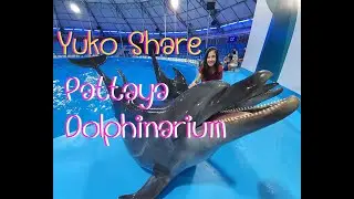 Dolphin Show Pattaya Dolphinarium #Pattayadolphinarium