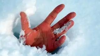 Закопались в снегу