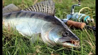 Рыбалка на судака. Чаглинское водохранилище. Рыбалка 2022