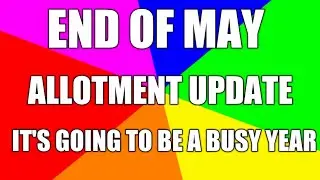 End of may allotment update 2022