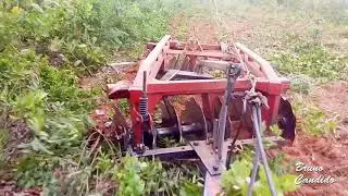 Massey 292 na grade CRI 16x28