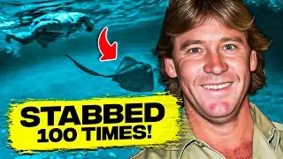 The HORRYFING Death of Steve Irwin (FULL STORY)