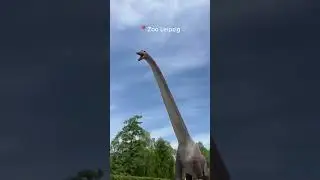 3 Zoos in Deutschland die ihr gesehen haben mÃ¼sst #Deautschand #follow #Schlosspark