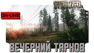 Escape from Tarkov | Вечерний Тарков | Hardcore  | 2K resolution + Star Citizen