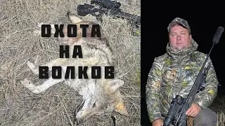 WOLF HUNT. Harvested 5 wolves during the full moon.