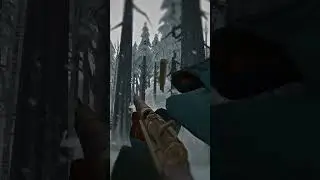 Curator's Rifle: The Long Dark Hunting Rifle Variant | Beginner Tips (2024) | Ash Canyon 