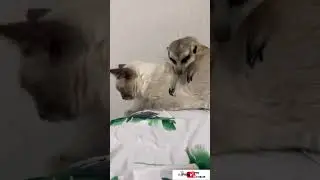 Упала 😱 