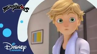 🐞 Miłość jest skomplikowana | Miraculous: Biedronka i Czarny Kot | Disney Channel Polska