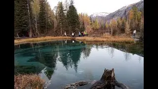 Путешествие  до Кош-Агача.
