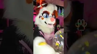 and many more furry birthdays to come 😌🥳 