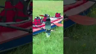 Герметизируйтесь 