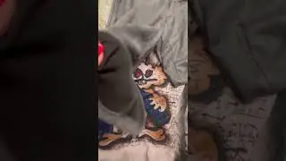 Обзор выкупа одежды/Корея