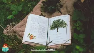 「無廣告版」沉浸在大自然中最放鬆讀書 ＆ 工作音樂 RELAX STUDYING MUSIC WITH NATURE SOUNDS